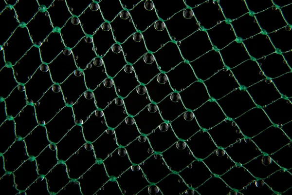 Net with drops of water — Stock Photo, Image