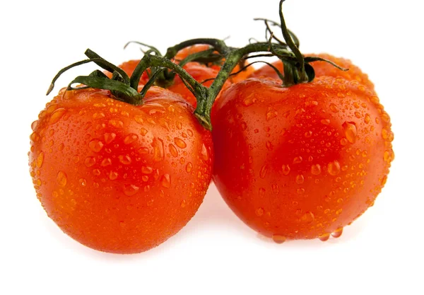 Tomaten — Stockfoto