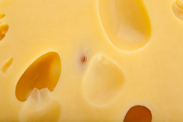 Textura do queijo — Fotografia de Stock
