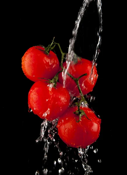 Pomidory w wodzie — Zdjęcie stockowe