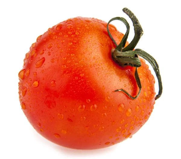 Tomaten — Stockfoto