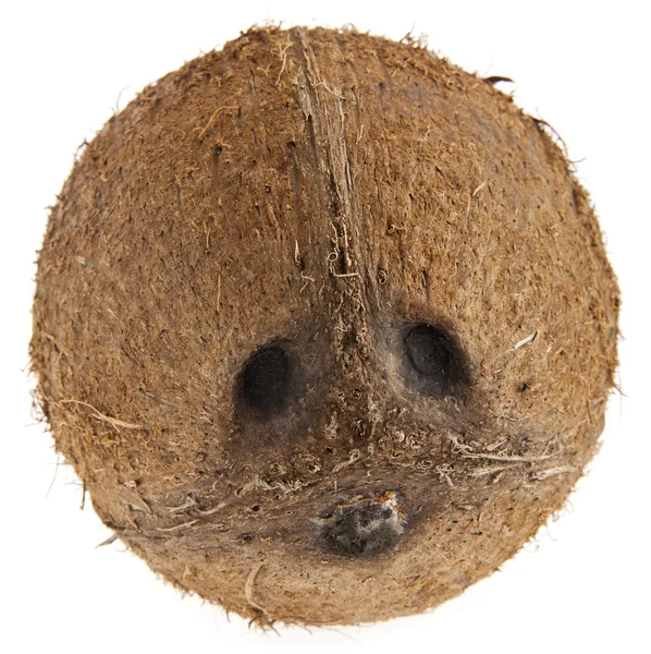 Hindistan cevizi