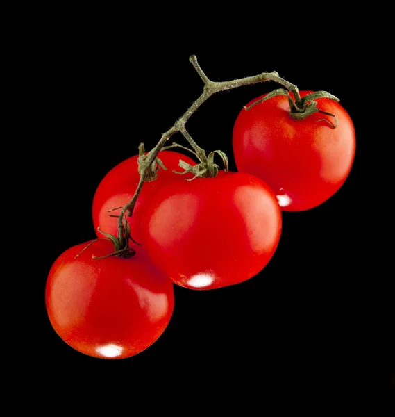 Tomatoes — Stock Photo, Image