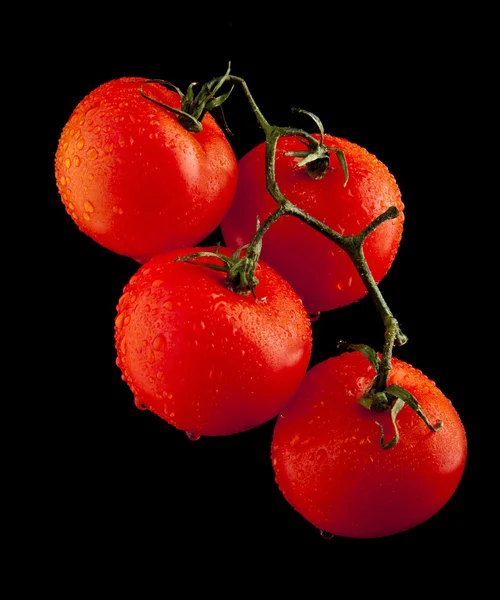 Foto tomates com gotas de água — Fotografia de Stock