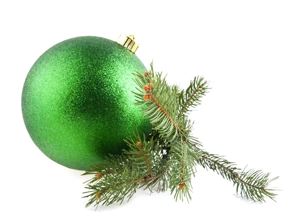 Branch of fir-tree Stock Image