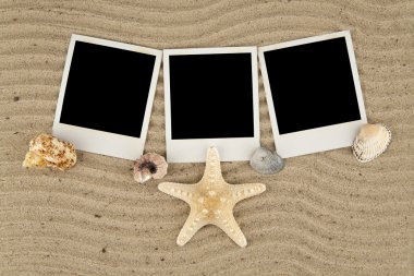 cockleshells resimleri