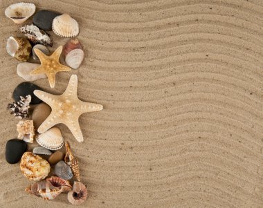 cockleshells ve taş