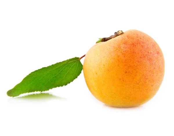 Apricots — Stock Photo, Image