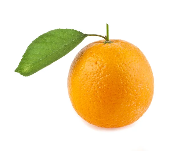 Orange — Stockfoto