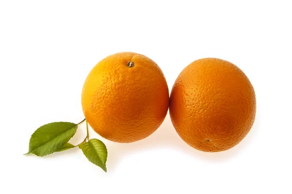 Orange — Stockfoto