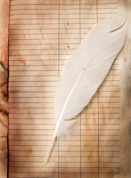 Feather and old paper — Stock Photo, Image