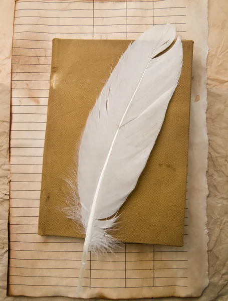 Feather and old paper — Stock Photo, Image