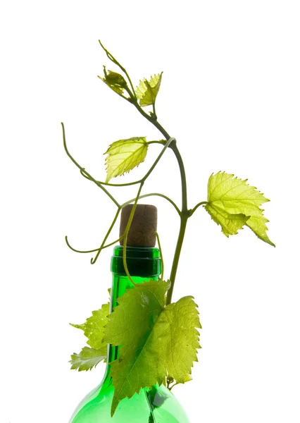 瓶酒和叶子 — 图库照片