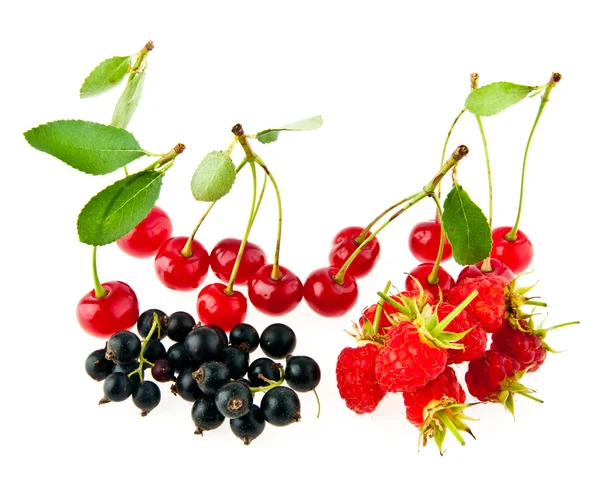 Currant, cherry and raspberry — Stock Photo, Image