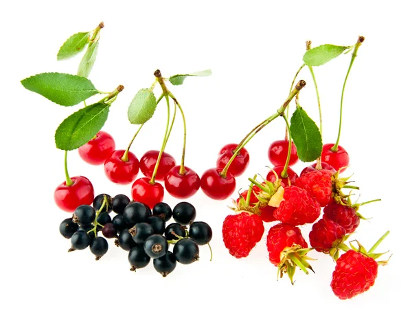 Currant, cherry and raspberry — Stock Photo, Image