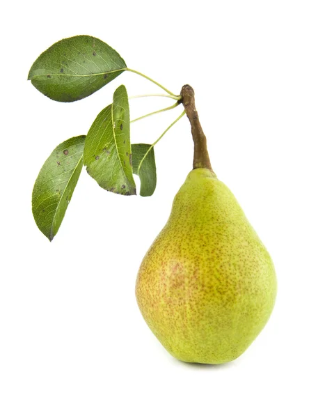 Pear — Stock Photo, Image