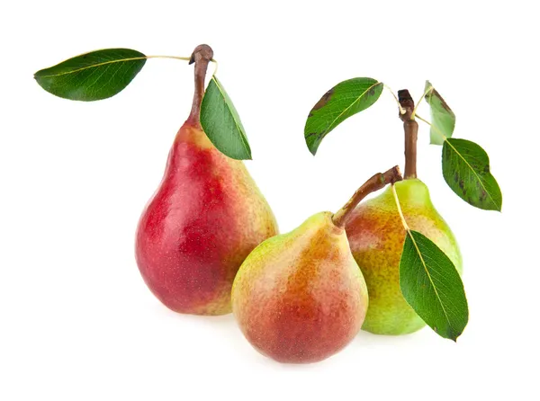 Pears — Stock Photo, Image