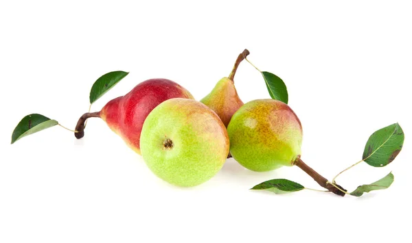 Pears — Stock Photo, Image