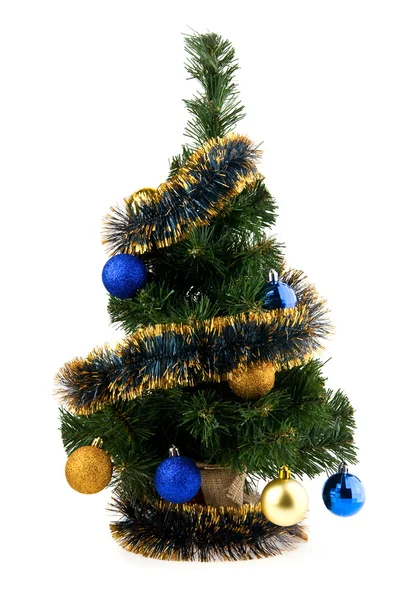 Fir-boom — Stockfoto