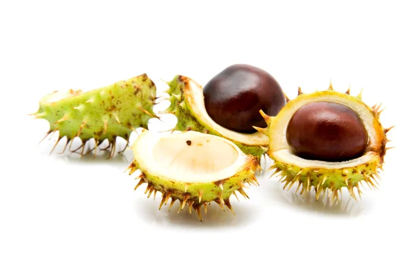 Chestnuts — Stock Photo, Image