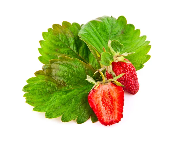 Strawberries — Stock Photo, Image