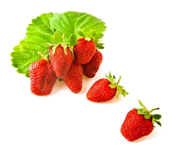 Strawberry — Stock Photo, Image