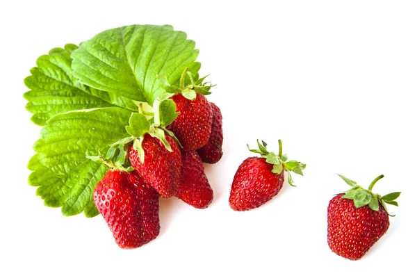 Strawberries — Stock Photo, Image