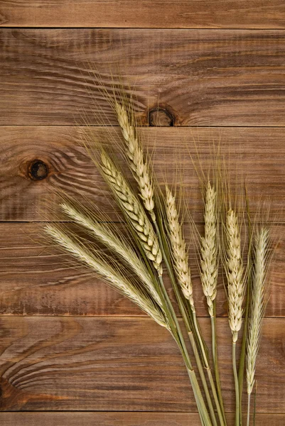 Wheat — Stock Photo, Image