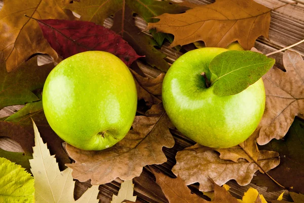 Apples and leaves — Stock Photo, Image