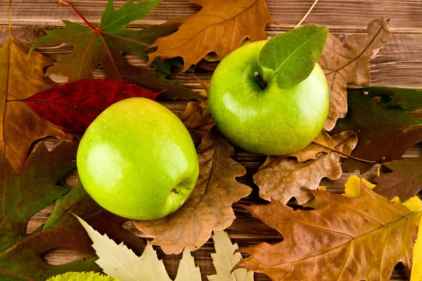 Apples and leaves — Stock Photo, Image