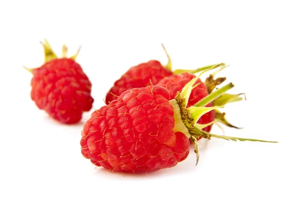 Red raspberry — Stock Photo, Image