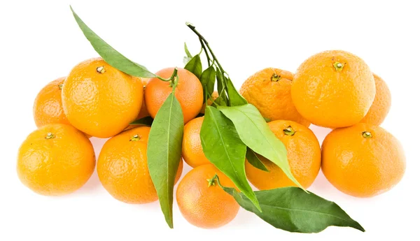 Mandarine — Stock Photo, Image