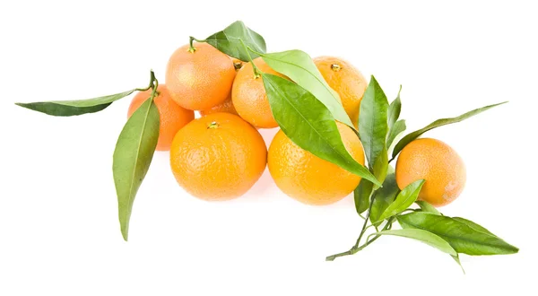 Mandarine — Stock Photo, Image