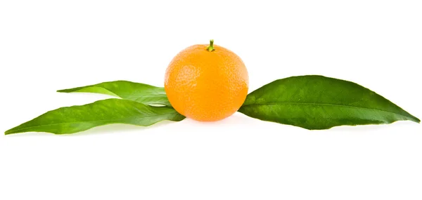 Mandarine — Stock Photo, Image