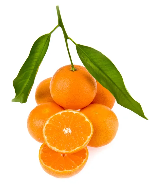 Mandarina — Fotografia de Stock