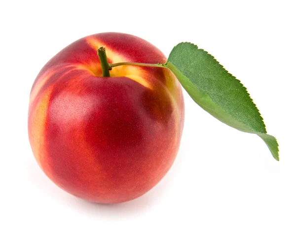 Nectarine — Stockfoto