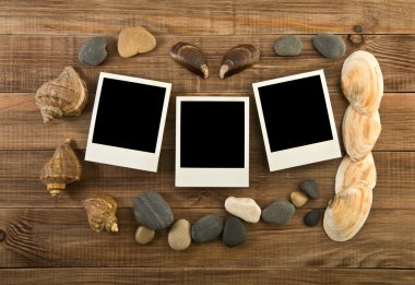 cockleshells ile resim