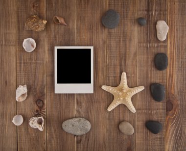 cockleshells ile resim