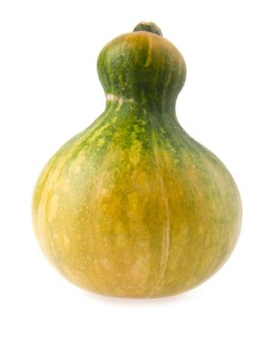 balkabağı