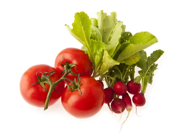 Tomatoes, lettuce, radish — Stock Photo, Image