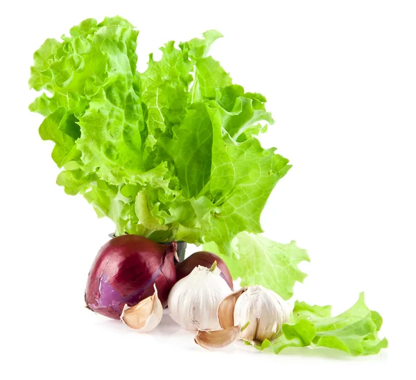 Onion, garlic and lettuce — Stock Photo, Image