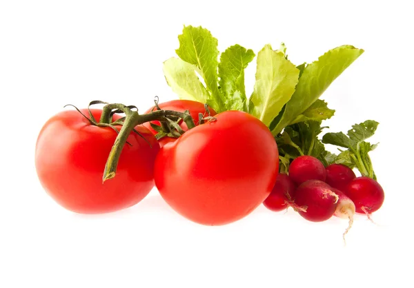 Pomodori, ravanello e lattuga — Foto Stock