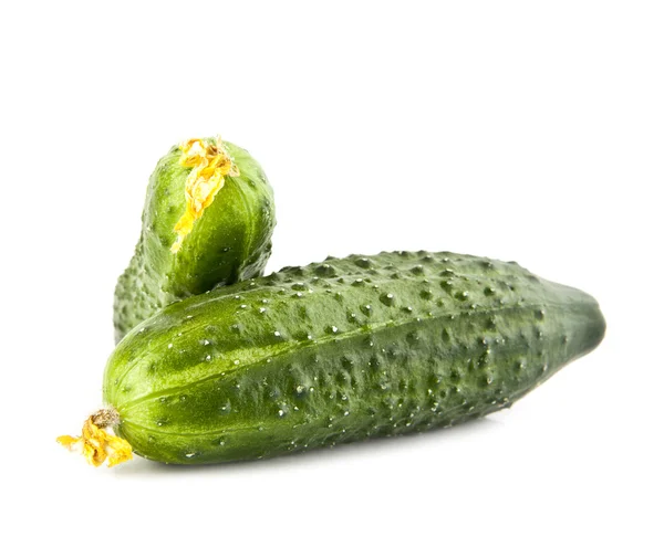 Cucumbers — Stock Photo, Image