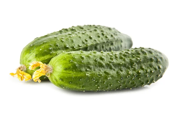 Cucumbers — Stock Photo, Image