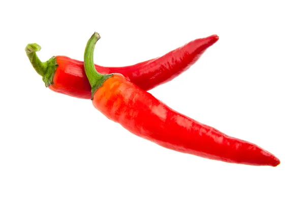 Paprika — Stockfoto