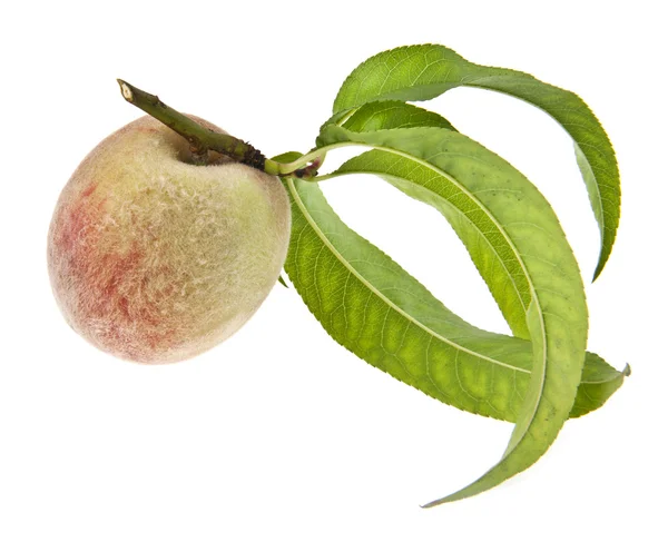 Peaches — Stock Photo, Image