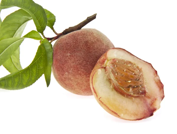 Peaches — Stock Photo, Image