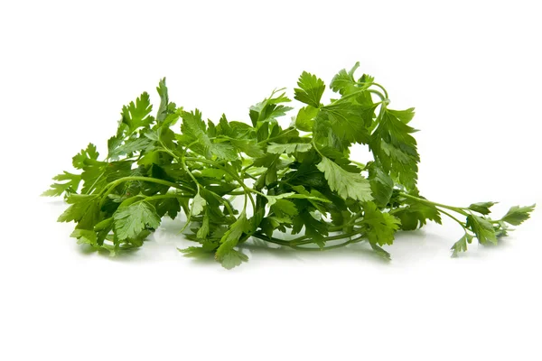 Parsley — Stock Photo, Image