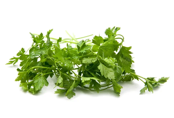 Parsley — Stock Photo, Image