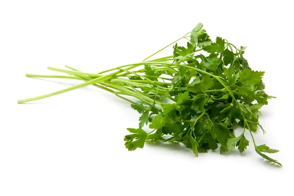 Parsley — Stock Photo, Image